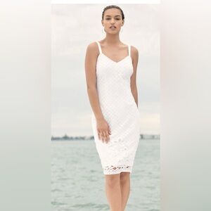 White Lace eyelet sheath Dress -WHBM